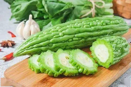 鱼声音乐手机版下载 